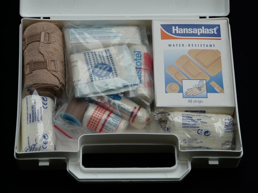 Essential travel medical kit Basic travel medical kit with pills, repellent, and first aid items