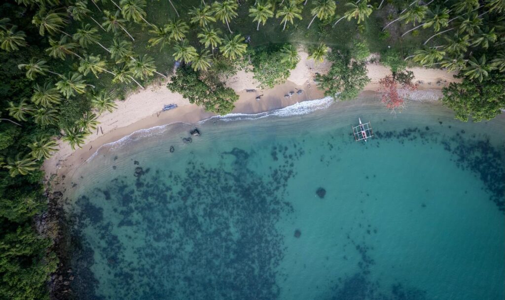 Aerial view of Bebeladan Beach in El Nido, Palawan with palm trees, sandy shore, and turquoise reef‑streaked water