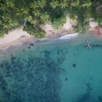 Aerial view of Bebeladan Beach in El Nido, Palawan with palm trees, sandy shore, and turquoise reef‑streaked water